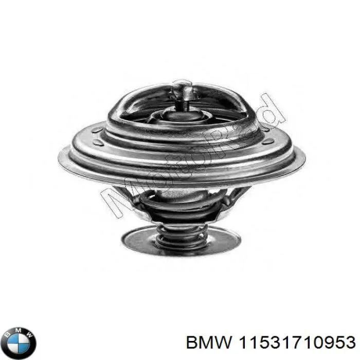 Comprar 11531710953 BMW Termostato