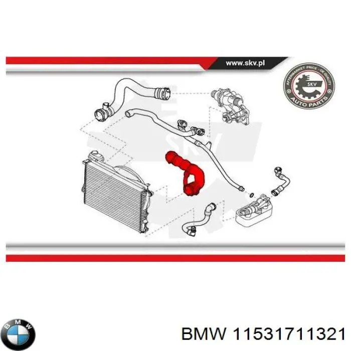 Comprar 11531711321 BMW Manguera superior del radiador