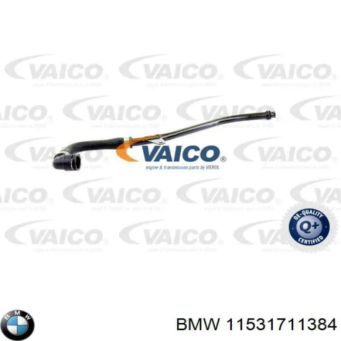 11531711384 BMW manguera (conducto del sistema de refrigeración)