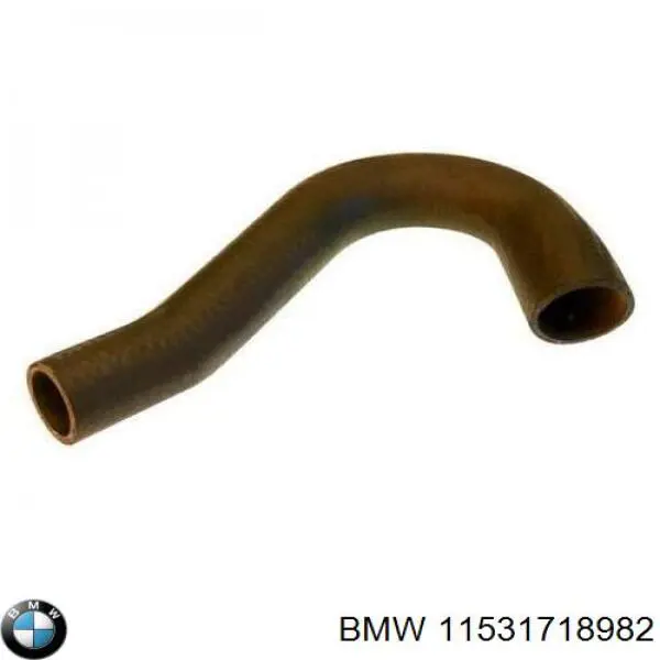 11531718982 BMW