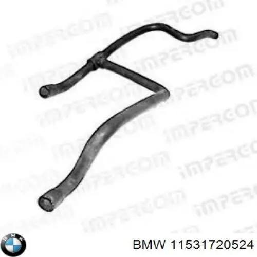 11531720524 BMW manguera refrigerante para radiador inferiora