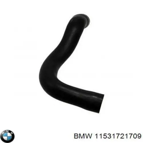 11531721709 BMW