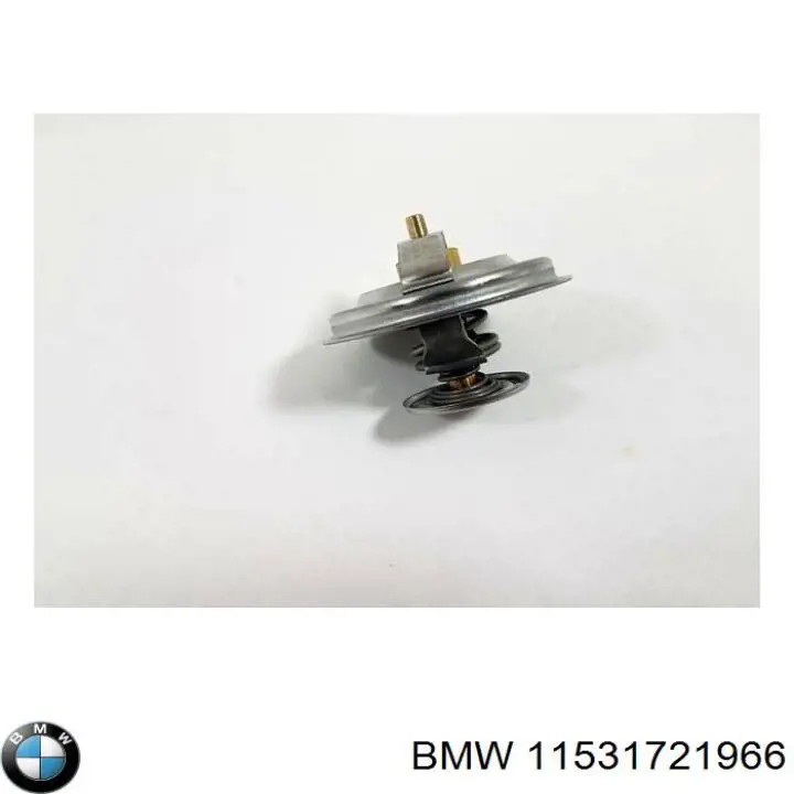 11531721966 BMW