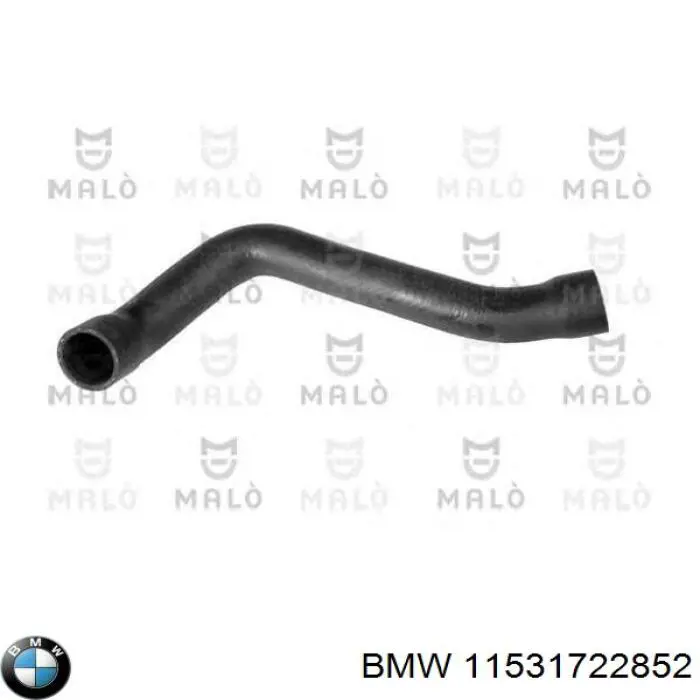 11531722852 BMW manguera refrigerante para radiador inferiora