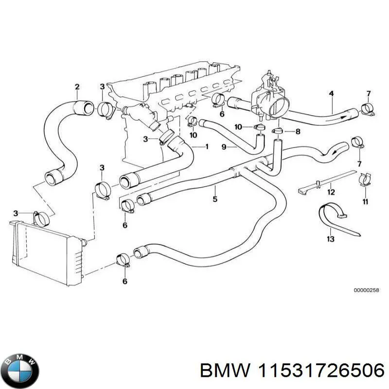 Manguera inferior del radiador BMW 11531726506 precio, desde 23,49 EUR