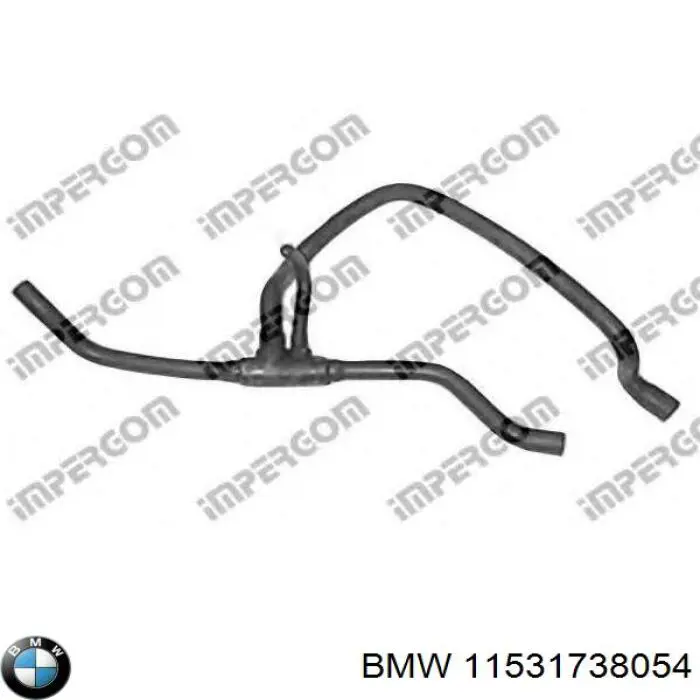 11531738054 BMW manguera refrigerante para radiador inferiora