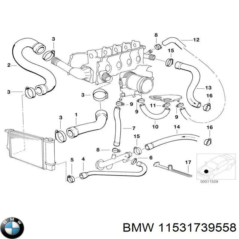 11531739558 BMW tubería de radiador arriba