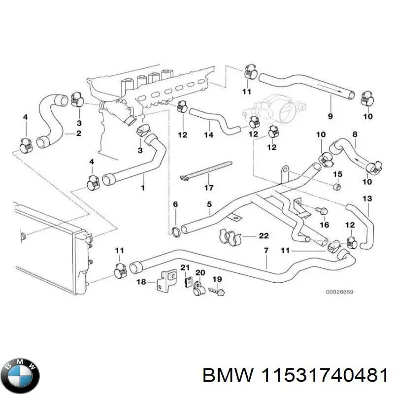 Manguera inferior del radiador BMW 11531740481 precio, desde 17,28 EUR