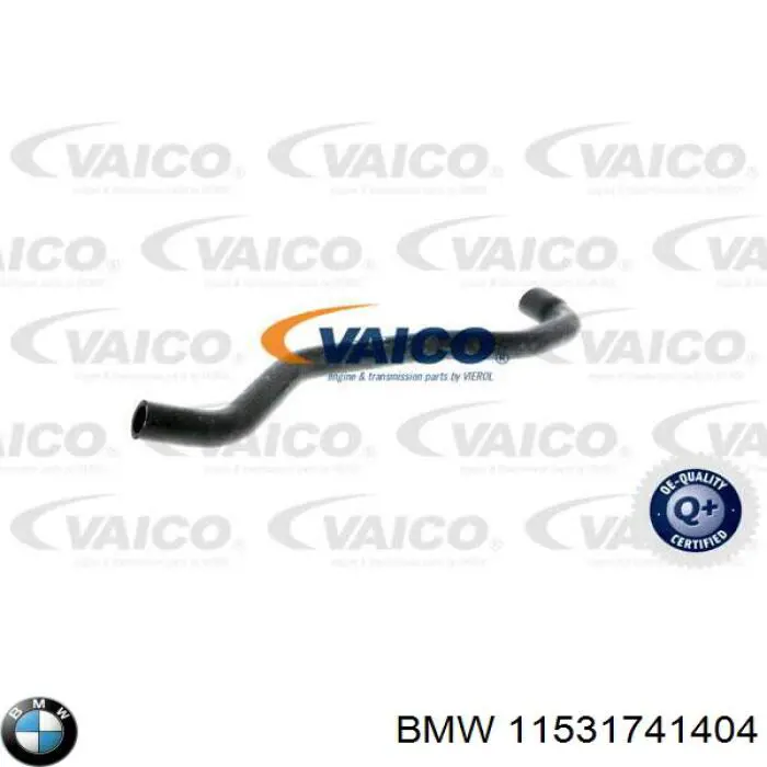 11531741404 BMW tubería de radiador, tuberia flexible calefacción, inferior