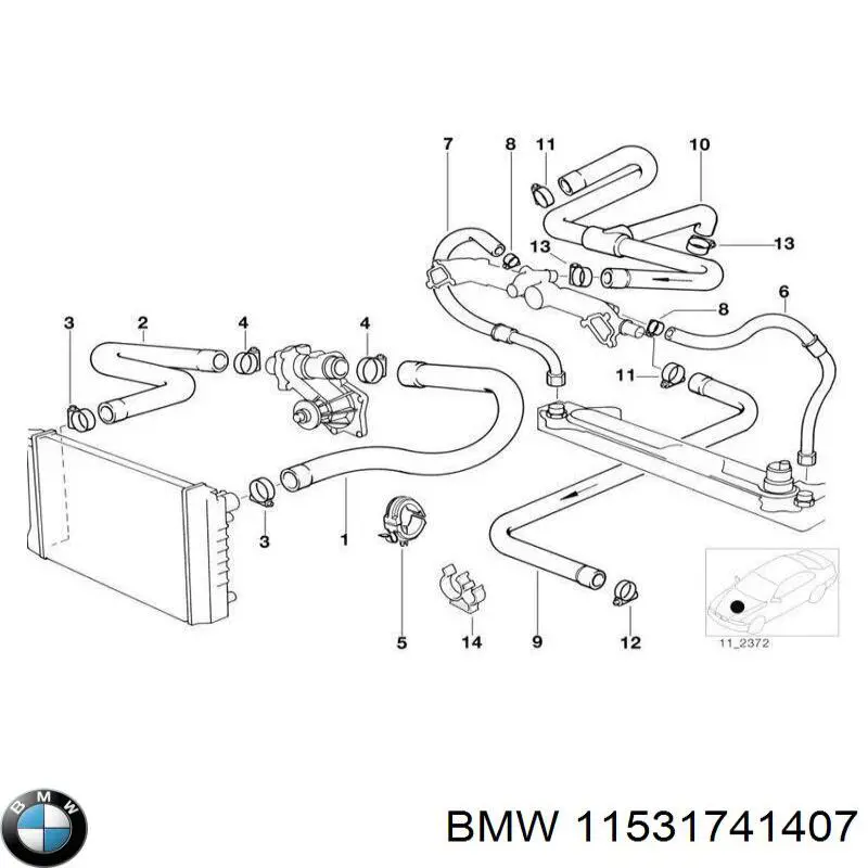 11531741407 BMW manguera refrigerante para radiador inferiora