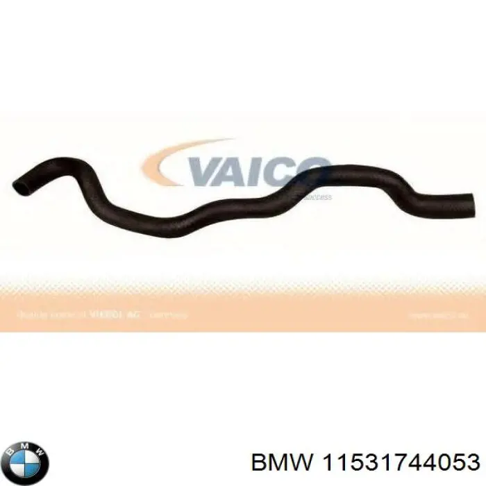 11531744053 BMW manguera refrigerante para radiador inferiora