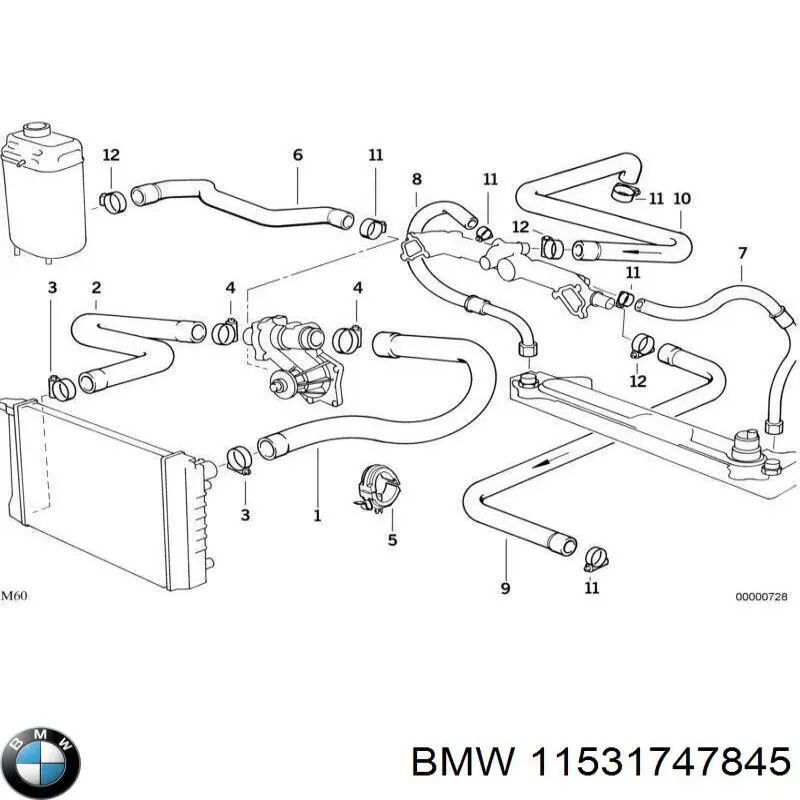 11531747845 BMW tubería de radiador, tuberia flexible calefacción, inferior