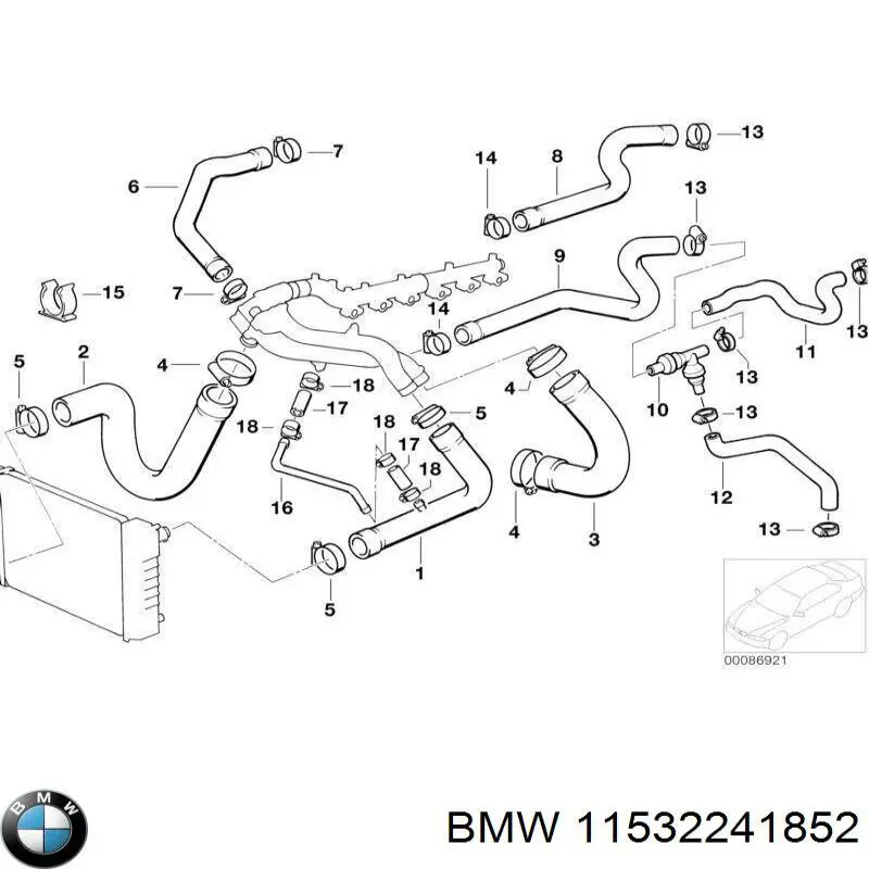 11532241852 BMW manguera refrigerante para radiador inferiora