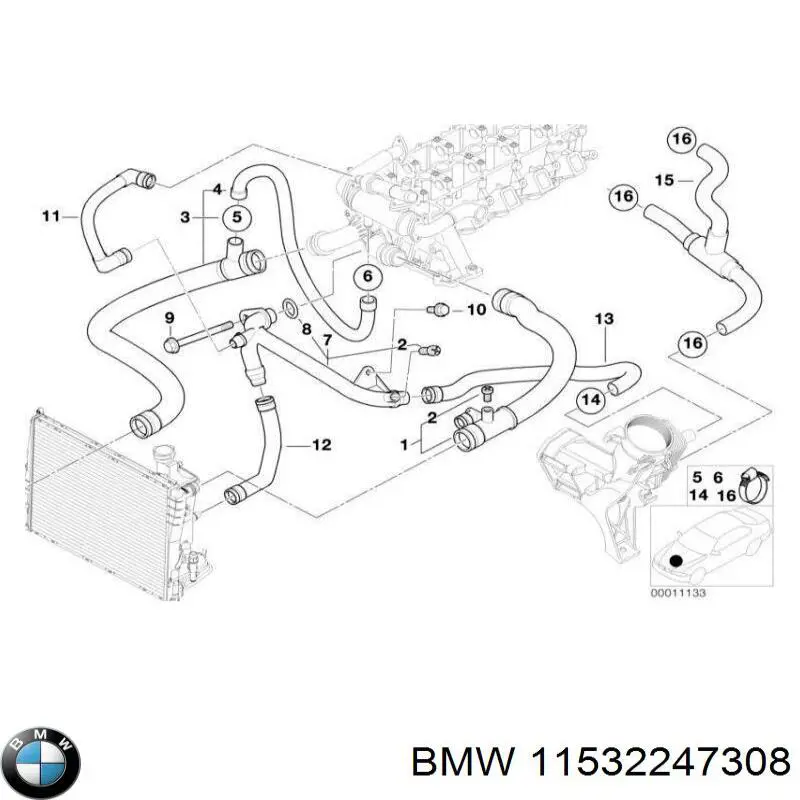 11532247308 BMW manguera refrigerante para radiador inferiora