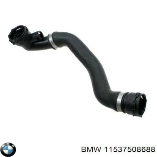 11537508688 BMW manguera refrigerante para radiador inferiora