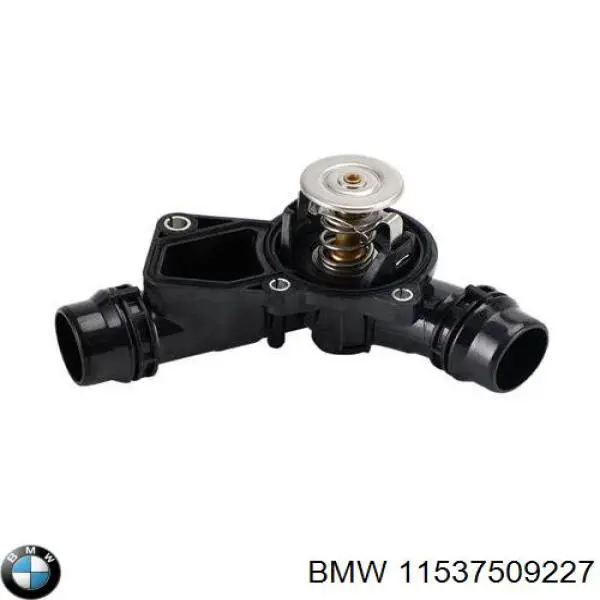 Comprar 11537509227 BMW Termostato