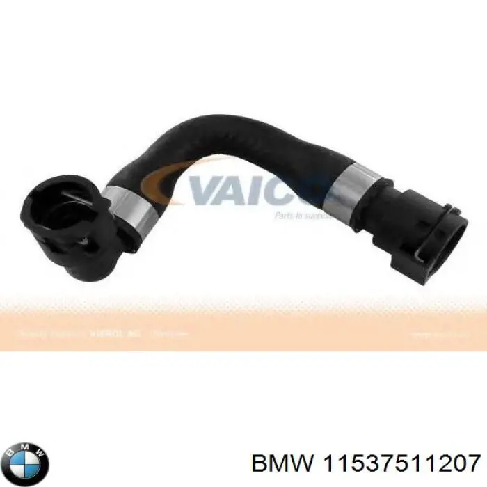 11537511207 BMW manguera refrigerante para radiador inferiora