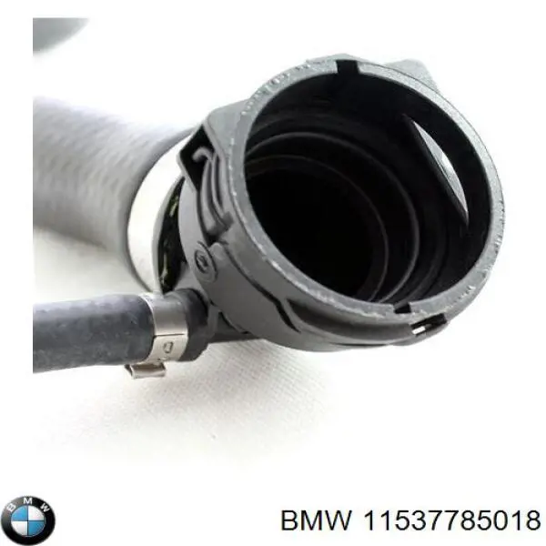 Manguera superior del radiador BMW 11537785018 precio, desde 31,54 EUR