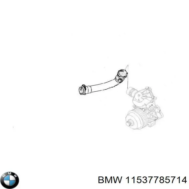 Manguera superior del radiador BMW 11537785714 precio, desde 40,14 EUR