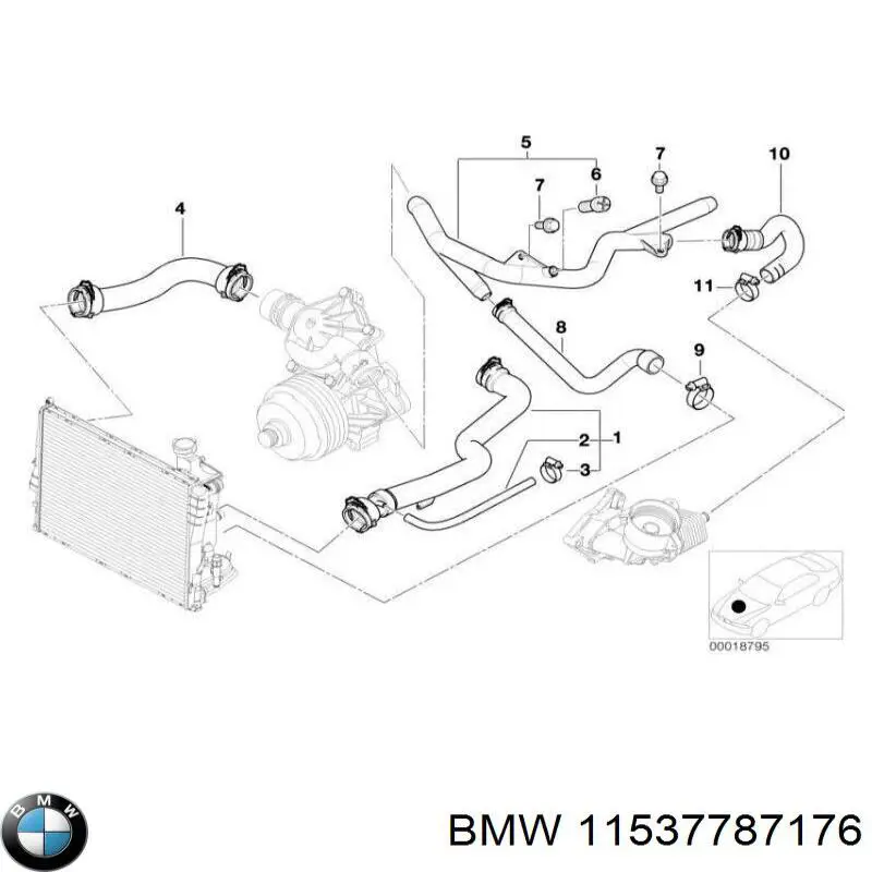 Manguera superior del radiador BMW 11537787176 precio, desde 61,06 EUR
