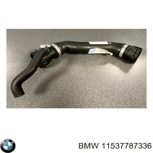 Manguera superior del radiador BMW 11537787336 precio, desde 28,40 EUR