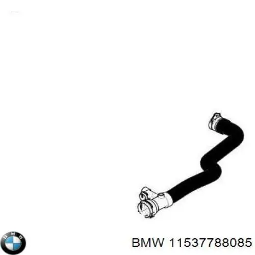 Manguera inferior del radiador BMW 11537788085 precio, desde 65,48 EUR
