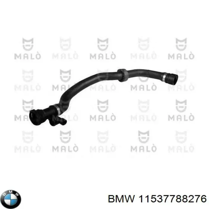 Manguera superior del radiador BMW 11537788276 precio, desde 45,09 EUR