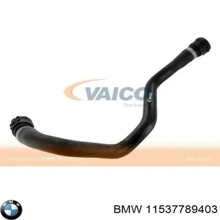 Manguito de líquido refrigerante BMW 11537789403 precio, desde 34,22 EUR
