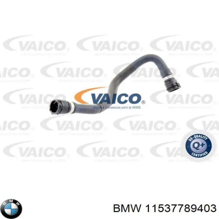 Comprar 11537789403 BMW Manguera de agua refrigerante
