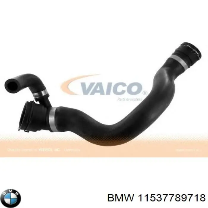 Manguera inferior del radiador BMW 11537789718 precio, desde 39,49 EUR