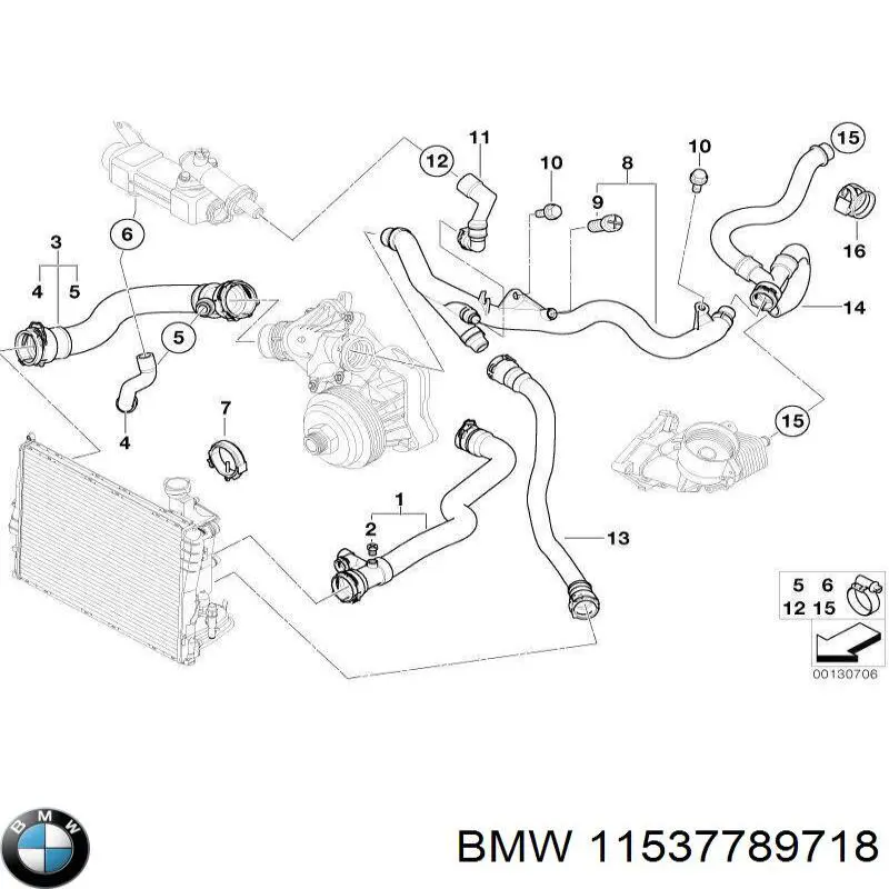 11537789718 BMW manguera refrigerante para radiador inferiora