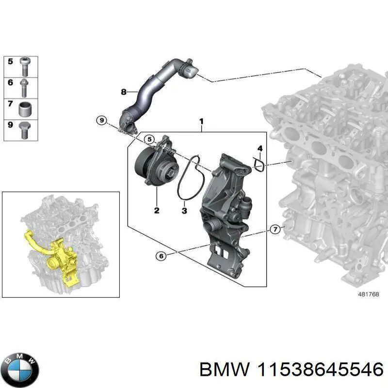 11538645546 BMW Manguera de refrigeración