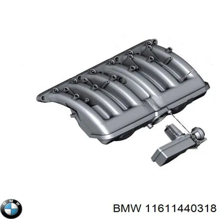 11611440318 BMW Decantador de aceite
