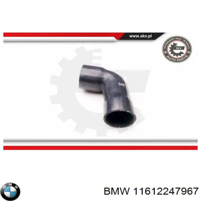 Manguera del intercooler BMW 11612247967 precio, desde 17,43 EUR