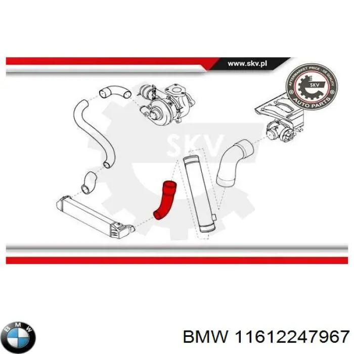 11612247967 BMW tubo flexible de aire de sobrealimentación izquierdo