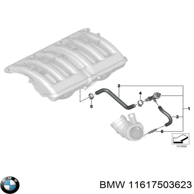 Válvula, ventilación cárter BMW 11617503623 precio, desde 83,25 EUR