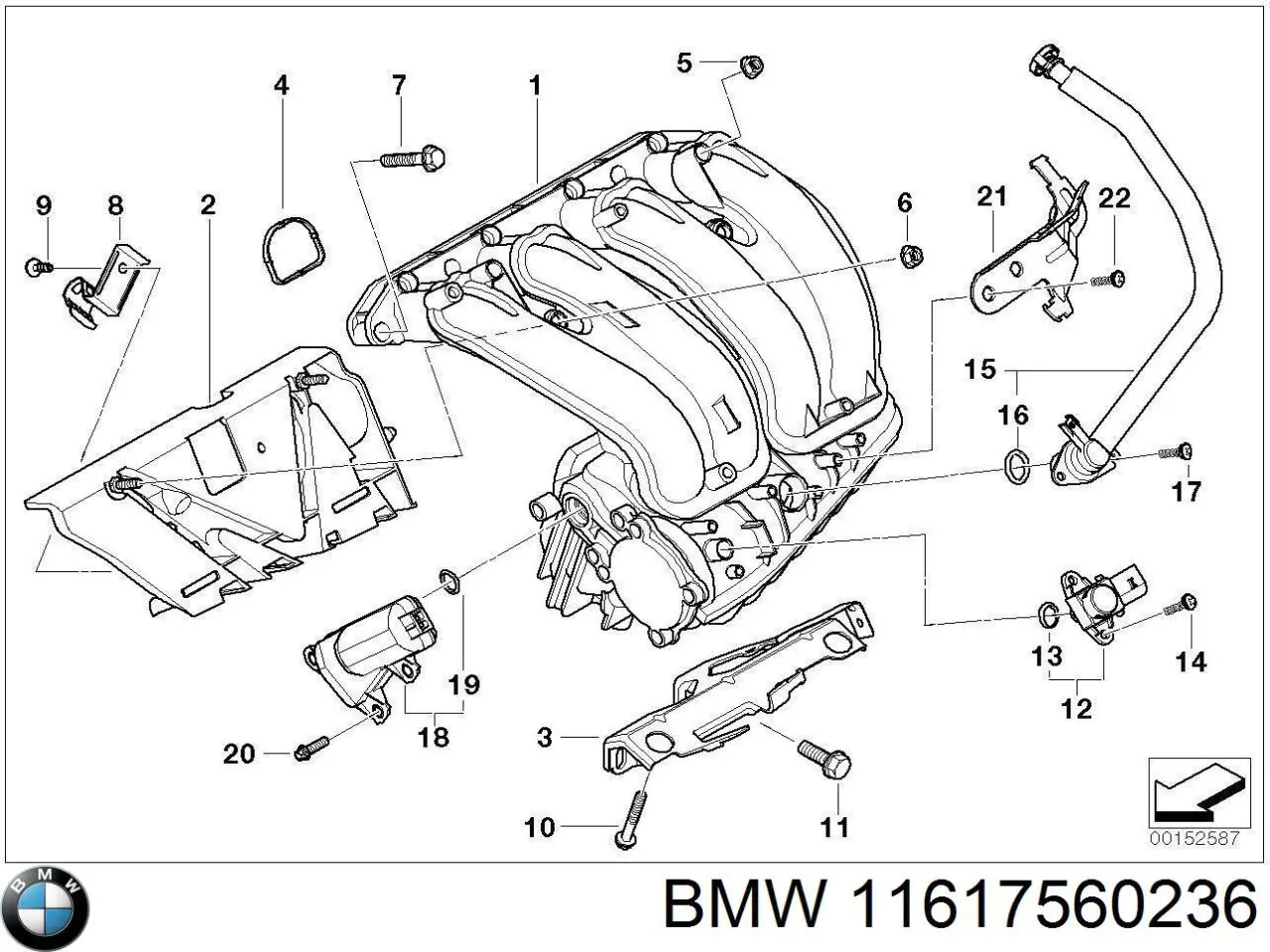 11617560236 BMW tubo de ventilacion del carter (separador de aceite)