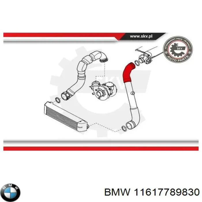 11617789830 BMW tubo flexible de aire de sobrealimentación izquierdo