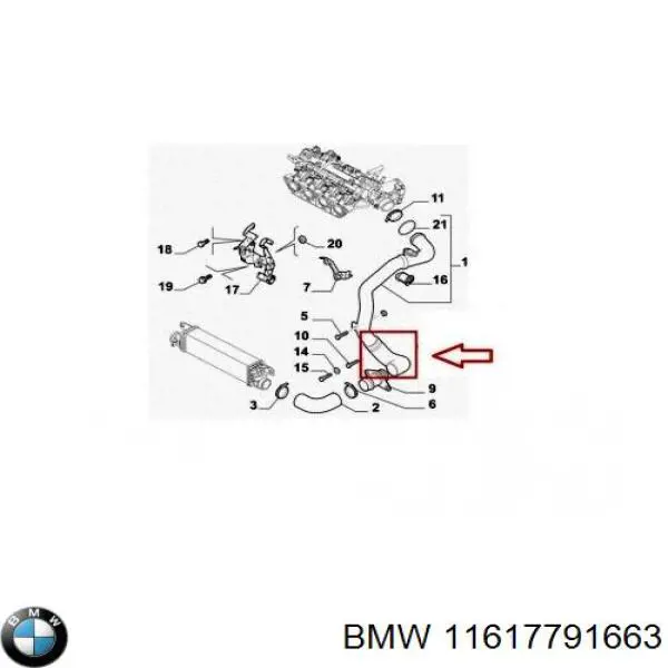 757534 Cautex tubo flexible de aire de sobrealimentación izquierdo