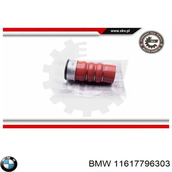 11617796303 BMW tubo flexible de aire de sobrealimentación derecho