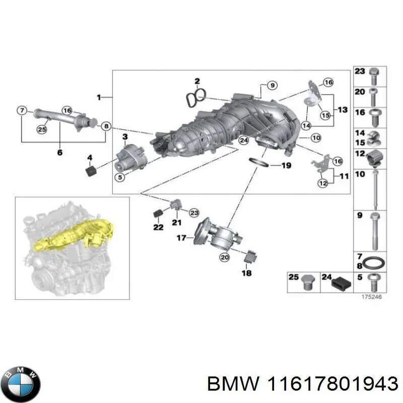 Comprar 11617801943 BMW Junta cuerpo mariposa
