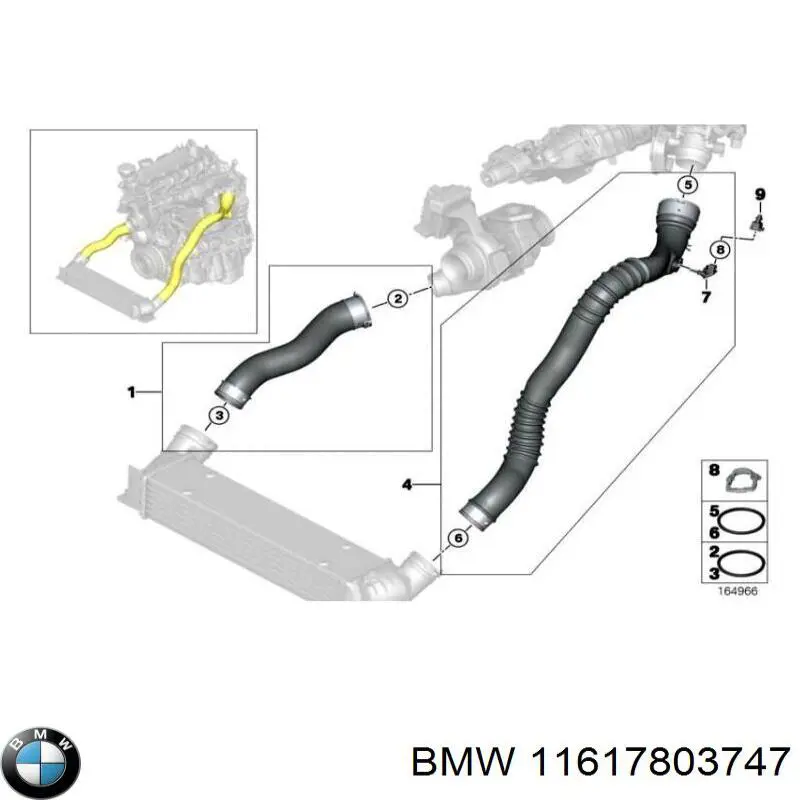 Manguera del intercooler BMW 11617803747 precio, desde 44,69 EUR