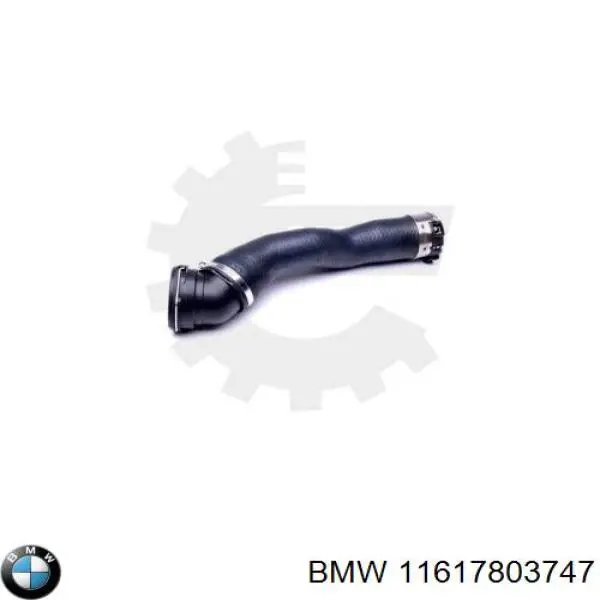 11617803747 BMW tubo flexible de aire de sobrealimentación derecho