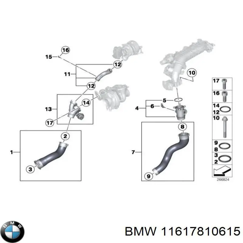 11617810615 BMW tubo flexible de aspiración, cuerpo mariposa