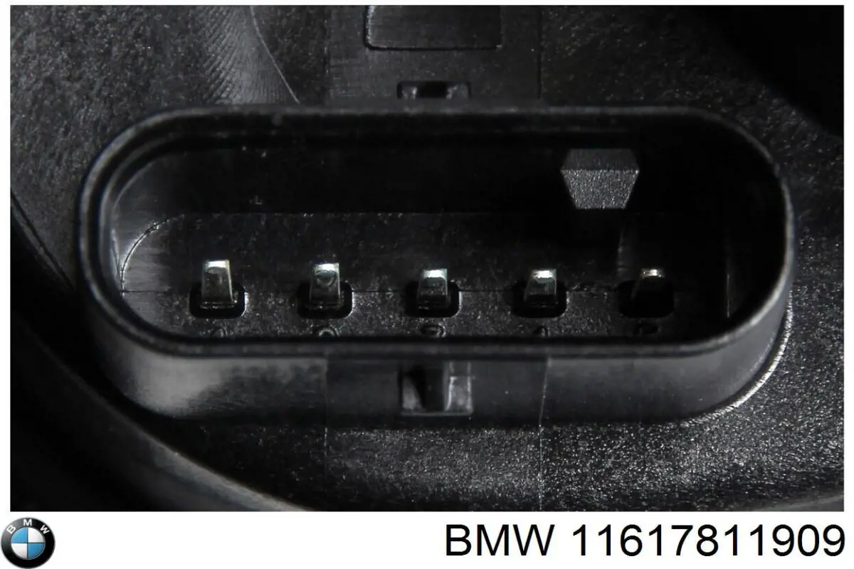 Múltiple de admisión BMW 11617811909