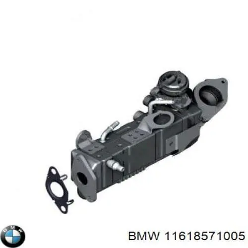 11618571005 BMW junta egr para sistema de recirculacion de gas