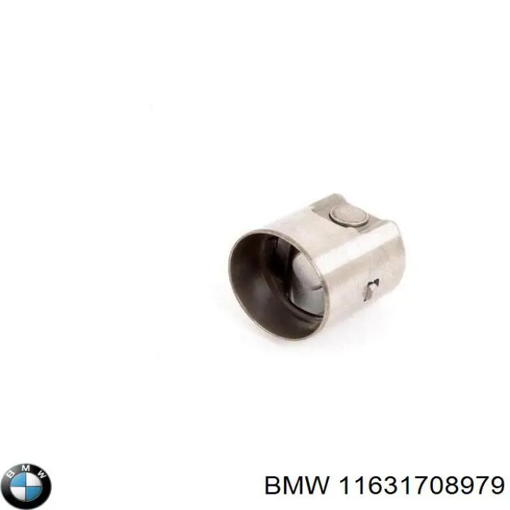 11631708979 BMW válvula de retención de combustible