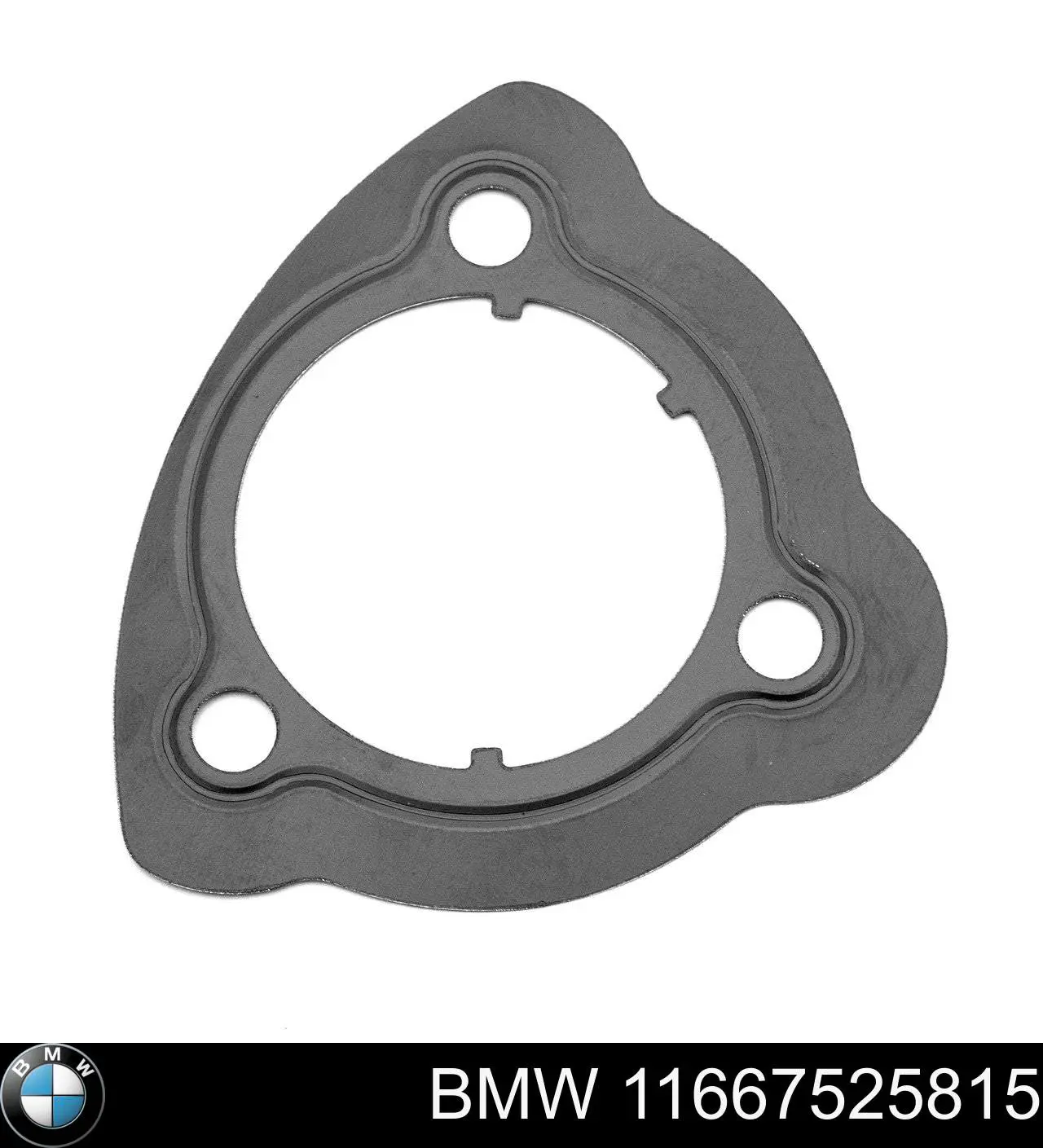 Junta de la bomba de vacío BMW 11667525815 precio, desde 5,31 EUR