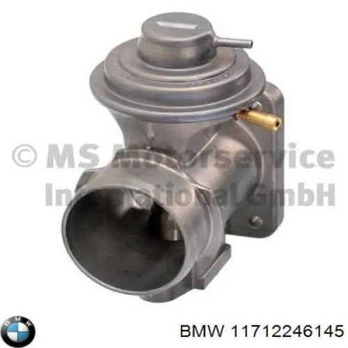 Comprar 11712246145 BMW Válvula EGR