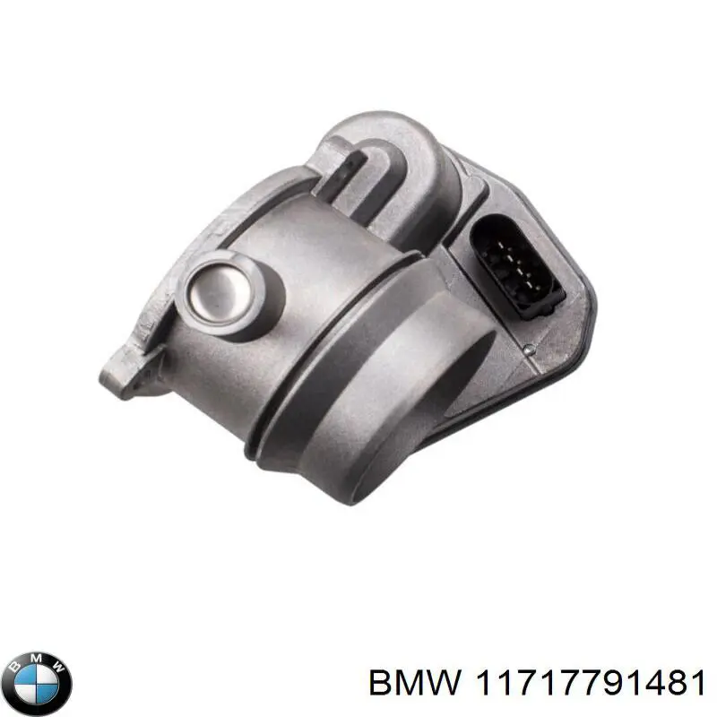 Cuerpo de aceleración completo BMW 11717791481 precio, desde 158,43 EUR